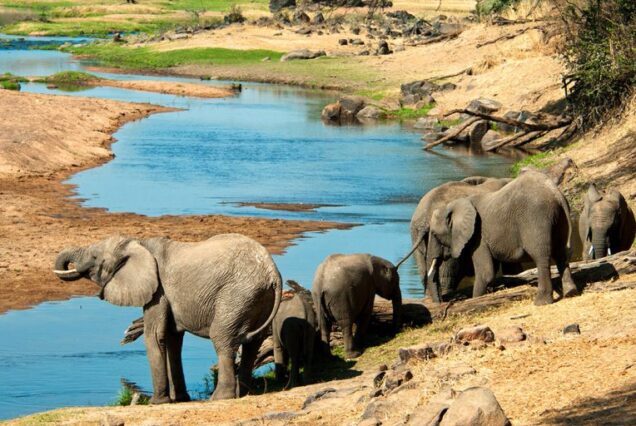 Maasai Mara Game Reserve package