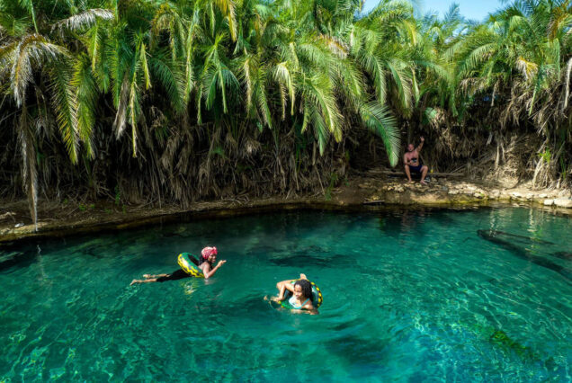 Day trip Kikuletwa (Chemka) Hot Springs