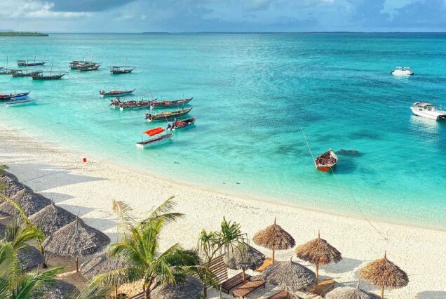 4 Days Zanzibar Safari Experience